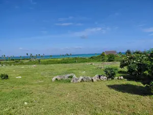 Eneo la Eka 8 Pwani Mchanga kwa Uuzaji, Jacaranda, Watamu