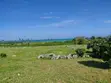 Eneo la Eka 8 Pwani Mchanga kwa Uuzaji, Jacaranda, Watamu - 1