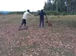 Controlled Aggression Dog Training - 2