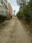 Kitalu Bora cha Robo Eka cha Kibiashara Ongata Rongai - 2