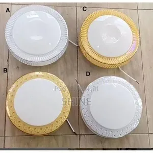 Premium Round LED Ceiling Light