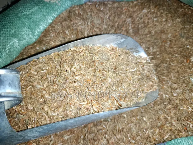 Dried Ochonga (Freshwater Shrimp) - 10 Kg - 1
