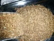 Dried Ochonga (Freshwater Shrimp) - 10 Kg - 5