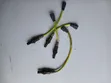 Oxygen Sensor for Toyota Passo & Daihatsu - 1