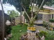 Bungalow ya Vyumba 3 vya Kulala Nkoroi Inauzwa - 4