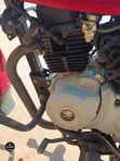Bajaj Boxer 150 UG 2024 Red - 4