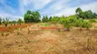 Residential Plot for Sale in Kikuyu, Ng'amba - 5