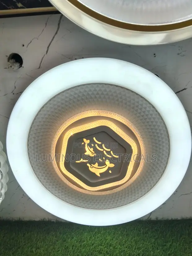 Playful Dolphin LED Multi-Ring Flush Mount Ceiling Light - 1