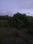 Eneo la Eka 15 kwa Ajili ya Kuuzwa Kilifi Mavueni - 1