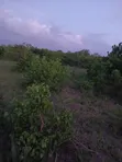 Eneo la Eka 15 kwa Ajili ya Kuuzwa Kilifi Mavueni - 2