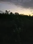 Eneo la Eka 15 kwa Ajili ya Kuuzwa Kilifi Mavueni - 3