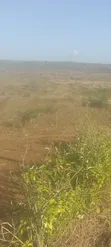 20 Acres for Sale in Kilifi Mavueni Near PST Ezekiel Church - 2