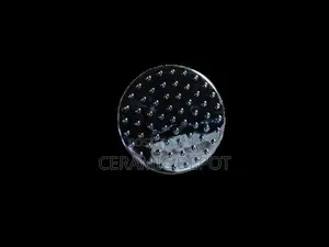 Shower Rose 1018H