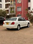 Nissan Bluebird Sylphy 2005 White - 5