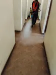 Wisdom Control Enterprise: Huduma za Kudhibiti Wadudu na Fumigation - 1