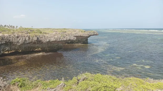 2 Acres Oceanfront Land for Sale in Kilifi Roka Beach - 1