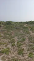 2 Acres Oceanfront Land for Sale in Kilifi Roka Beach - 3