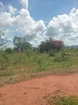 Makueni, Kalie at Muooni 20 Acres Farmland Near Muooni River - 2