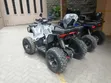 New Dayang DY200-8 Quad Bike (ATV) - 2026 Model - 4