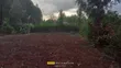 1/8 Acre Plot for Sale in Nyeri, Chorong'i - 1