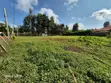 Tigoni 20 Acres for Sale - 2
