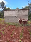 Land for Sale in Kianjiru, Kirinyaga County - 3