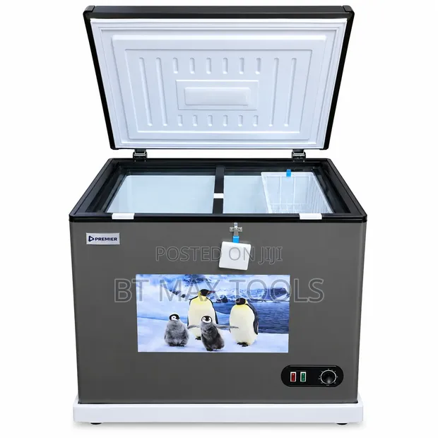 Premier Chest Freezer - 1