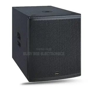 Thunder Sound TH118P 18-inch Subwoofer