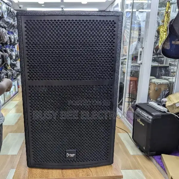 Thunder Sound TS115 Passive Speaker - 1
