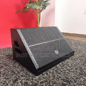 Thunder Sound TS112M 12" Passive Stage Monitor