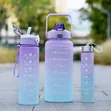 Generic 3-in-1 Water Bottle - 2