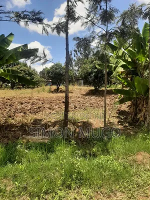 Makuyu Prime 1/4 Acre Land - Ready Title, Quick Sale