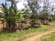 Makuyu Prime 1/4 Acre Land - Ready Title, Quick Sale - 2
