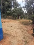 Makuyu Prime 1/4 Acre Land - Ready Title, Quick Sale - 3