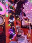 Colored LED Christmas Lights AC240V - 1