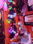 Colored LED Christmas Lights AC240V - 2