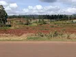 Prime Plots for Sale in Kerwa, Kikuyu - 3