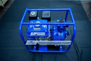 Windsor Water Pump 2" Brand New