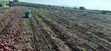 Tinga Magandi Road Eneo Bora la Kilimo lenye Umwagiliaji - Eka 210 - 1