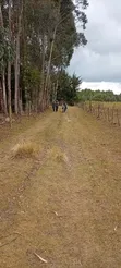 Eneo la Kilimo la Eka 1 Kinangop - 3