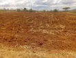 2 Acres Land for Sale in Muserechi - 3