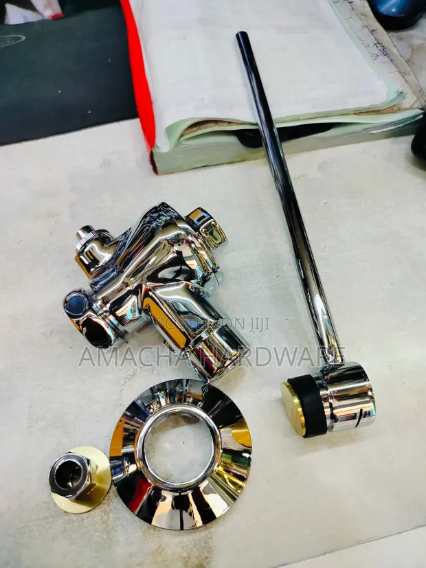 3/4" Lirlee Flush Valve - 1