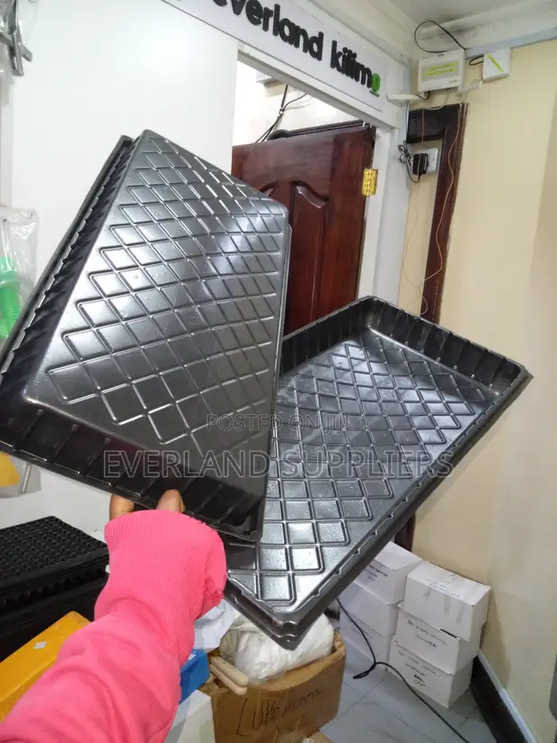 Hydroponic Trays for Bok Choy - No Holes - 1