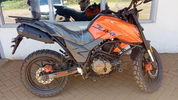 Regal Raptor DY250 Mpya 2024 Rangi ya Chungwa - 1