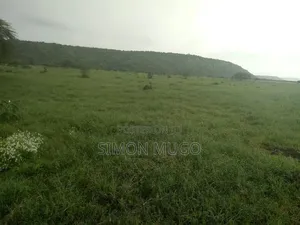 Ewuaso Kedong Eka 220 na Mto wa Msimu kwa Kilimo cha Kibiashara