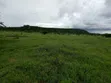 Ewuaso Kedong Eka 220 na Mto wa Msimu kwa Kilimo cha Kibiashara - 2