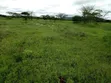 Ewuaso Kedong Eka 220 na Mto wa Msimu kwa Kilimo cha Kibiashara - 3