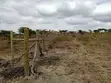 5 Acre Residential Land for Sale in Kiserian - 3