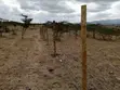 5 Acre Residential Land for Sale in Kiserian - 5