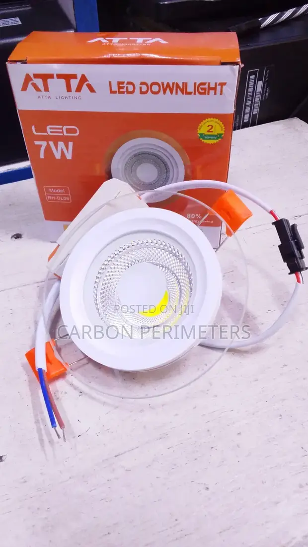 7W Downlighter - 1
